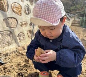 [공주] ‘새싹이네 감…