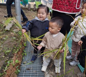 [공주] 새싹어린이집 …