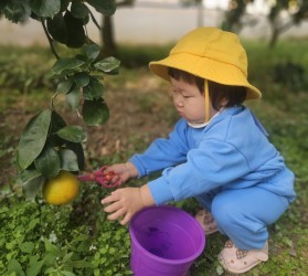 [공주] 새싹이네 가을…